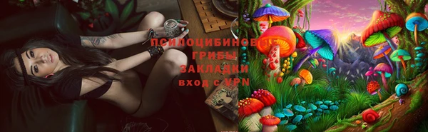прущая мука Бронницы