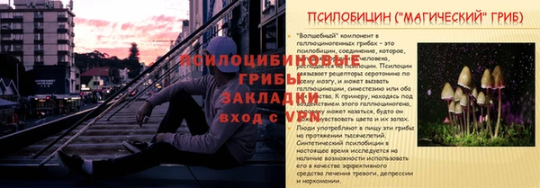 наркотики Бородино