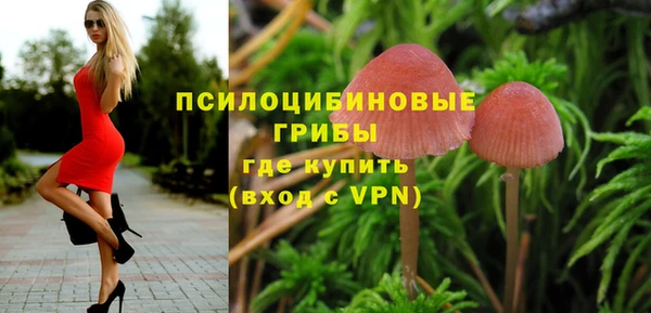 spice Бугульма