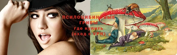 spice Бугульма