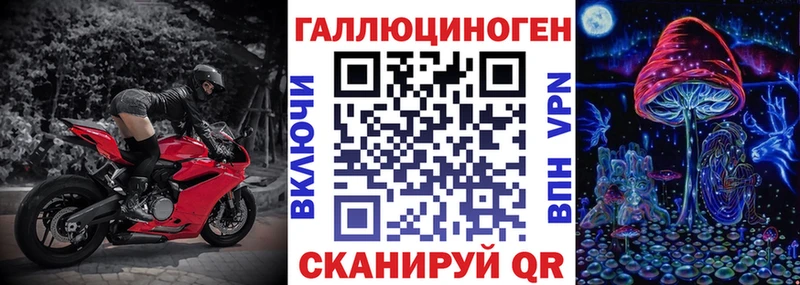 Купить где  Раменское  Псилоцибиновые грибы Cubensis 